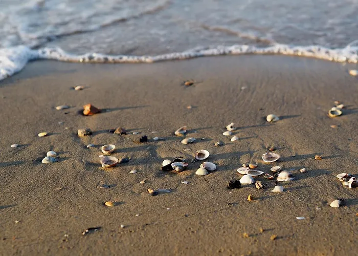 公寓 Peaceful In The Heart Of