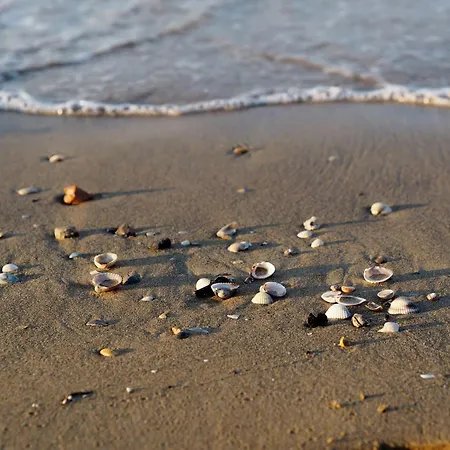 דירה Peaceful In The Heart Of